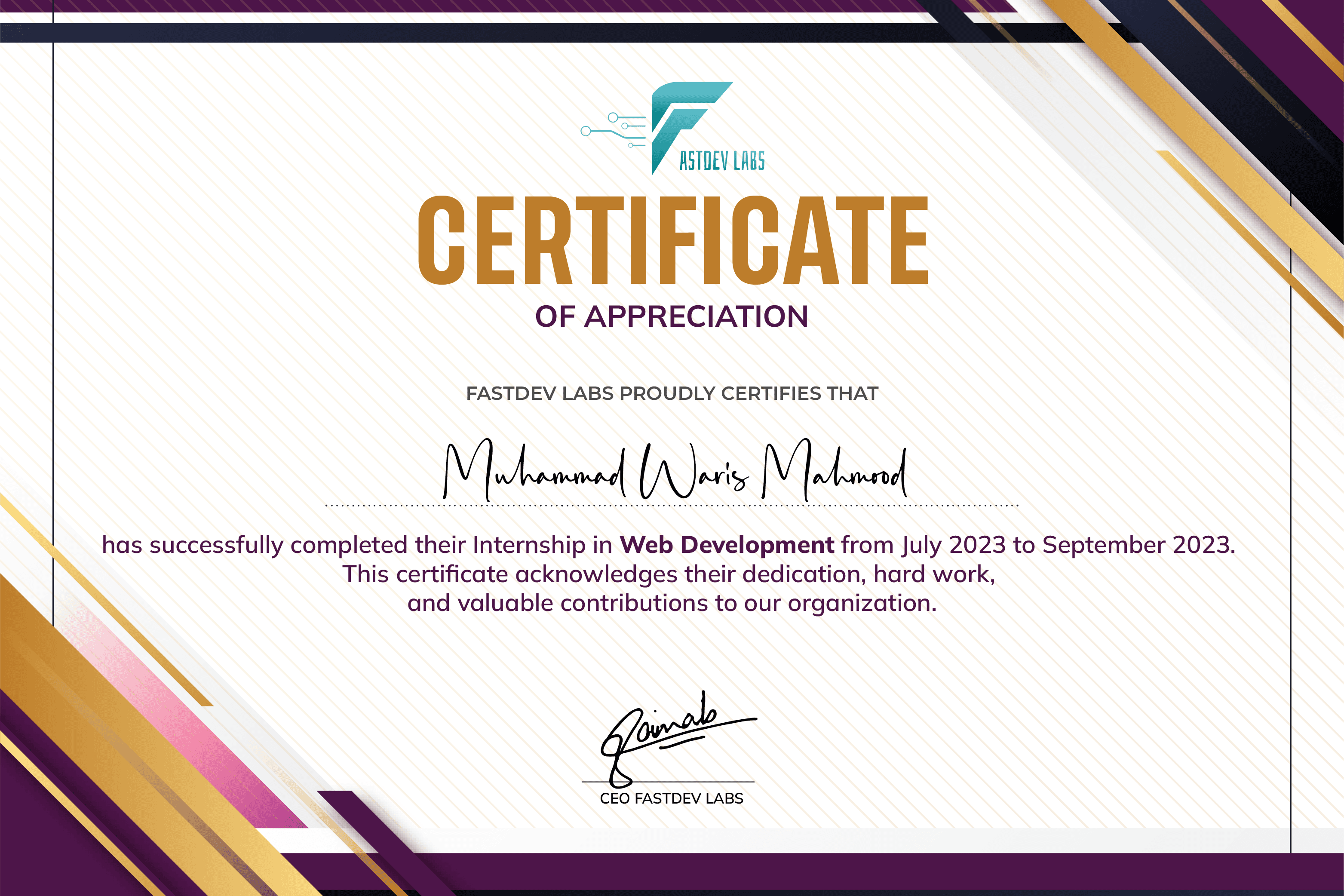 Web Development Intern